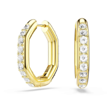 Swarovski SWR5724584 Kadın Küpe