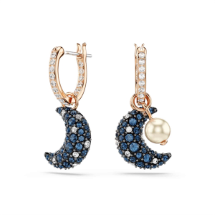 Swarovski SWR5671569 Kadın Küpe