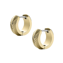 Fossil JF04116-710 Kadın Küpe