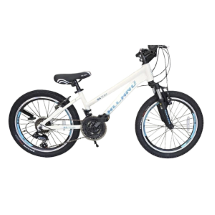 Salcano Ng Team Girl 20V11  20" Kız Çocuk Dağ Bisikleti