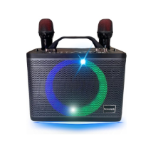 Hometech HT-202 Çift Mikrofonlu Speaker