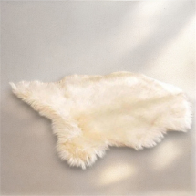 Axc Home 60x90 cm Krem Post Peluş Paspas