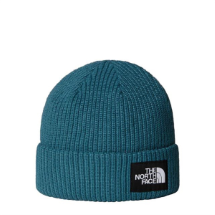 The North Face NF0A8CGZBQ51 Salty Lined Beanie Unisex  Bere