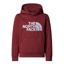 The North Face NF0A8EHH0VO1 Teen Drew Peak Pullover Hoodie Çok Renkli  Çocuk Sweatshirt