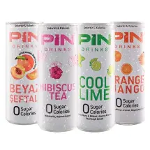 Pin Drinks Ayrılmaz Dörtlü 250 ml. Kutu İçecek