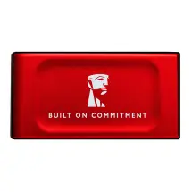 Kingston 1 TB XS1000  Taşınabilir Disk SSD