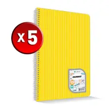 Çınar ColorMaxi A4 120Yp Sipiralli 5 Adet Kareli Defter