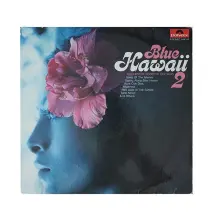 Orchestra Roberto Delgado 33' lük Plak Blue Hawaii 2